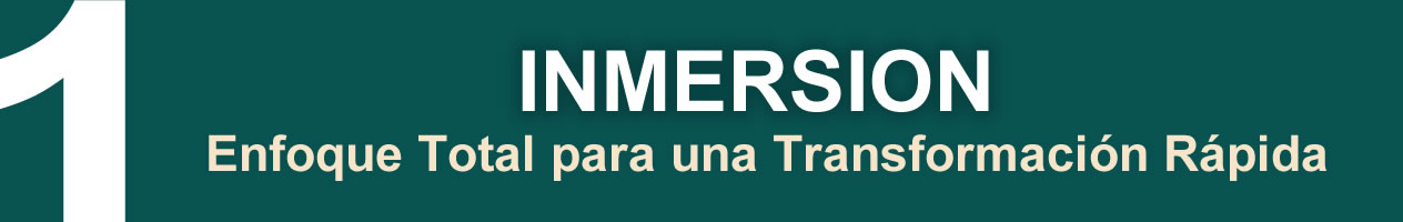 Inmersion